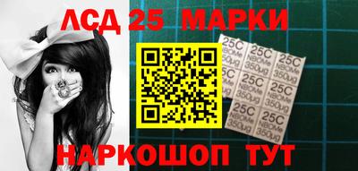 гидра Будённовск