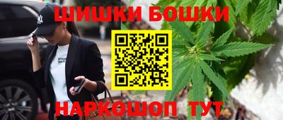 гидра Будённовск