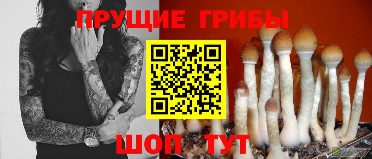 Галлюциногенные грибы мицелий  купить  сайты  Партизанск  Вход с VPN 
