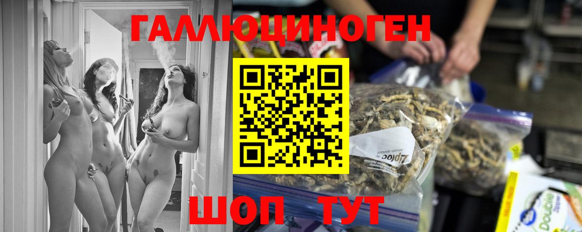 Псилоцибиновые грибы Psilocybe Партизанск